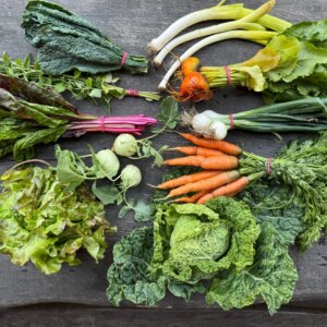 Bedýnka jednou za 14 dní - odběrové místo